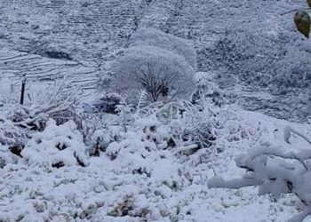 उत्तराखंड में भारी बर्फबारी से जन-जीवन ठप