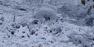 उत्तराखंड में भारी बर्फबारी से जन-जीवन ठप