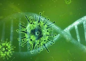 कोरोना के उत्तराखंड में नहीं कोई मरीज