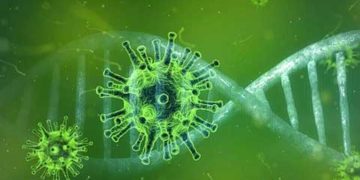 कोरोना के उत्तराखंड में नहीं कोई मरीज