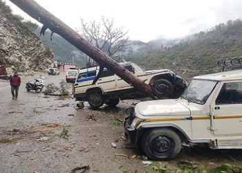 घनसाली में गिरा पेड़, तीनधारा में गिरी चट्टान