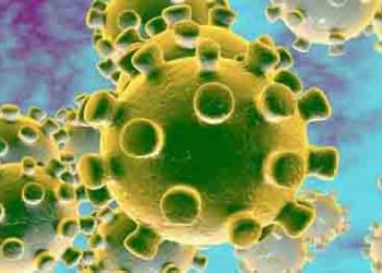 उत्तराखंड सरकार की इस सलाह पर दें ध्यान