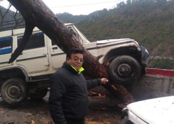 DM के आदेश के बाद भी नहीं काटे थे पेड़