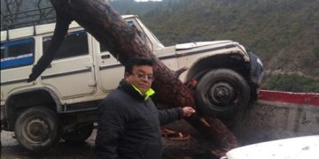 DM के आदेश के बाद भी नहीं काटे थे पेड़