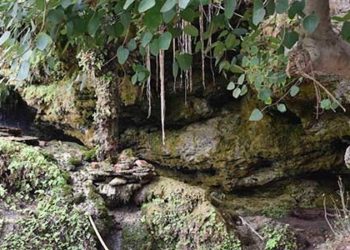 पैसे खत्म हुए तो गुफा में रहने चले गए ये लोग