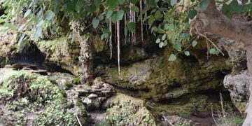 पैसे खत्म हुए तो गुफा में रहने चले गए ये लोग