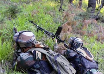 रुद्रप्रयाग व पौड़ी के दो वीर जवान शहीद