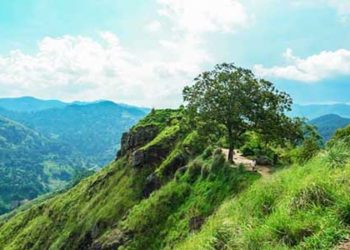 लॉकडाउन में महाबलेश्वर पहुंच गया यह परिवार!