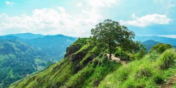 लॉकडाउन में महाबलेश्वर पहुंच गया यह परिवार!