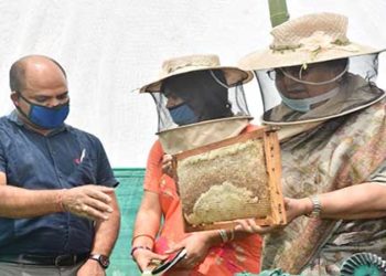 04 बाक्सों से निकली 41 किलो शहद