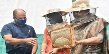 04 बाक्सों से निकली 41 किलो शहद