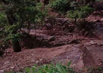 भरदार में बादल फटा, ढुंग में वज्रपात से 12 भेड़ मरे