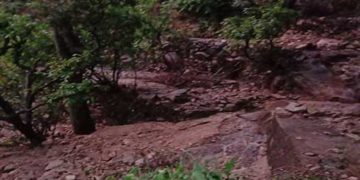 भरदार में बादल फटा, ढुंग में वज्रपात से 12 भेड़ मरे