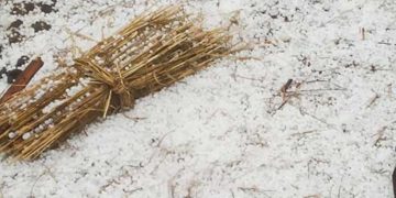 प्रतापनगर-घनसाली क्षेत्र में भारी ओलावृष्टि