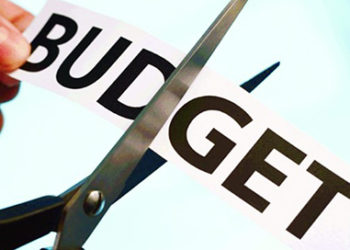 जिला व क्षेत्र पंचायत बजट में कटौती वापस ले सरकार