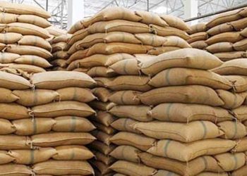 अब प्रति राशन कार्ड मिलेगा 20 किलो राशन