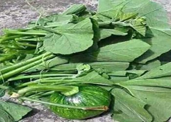 आज की तस्वीरें…..