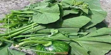 आज की तस्वीरें…..