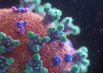 1411 पहुंची कोरोना संक्रमितों की संख्या