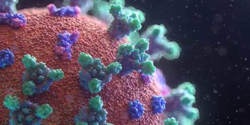 1411 पहुंची कोरोना संक्रमितों की संख्या