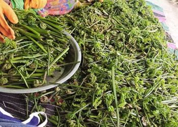 क्वारन्टाइन खत्म होते ही स्वरोजगार की मुहिम शुरू