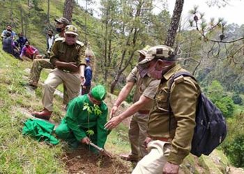 सकलाना में हुआ वृक्षारोपण