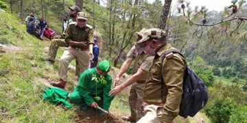 सकलाना में हुआ वृक्षारोपण