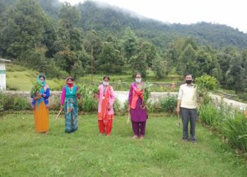 लैणी विद्यालय में रोपे गए तुलसी, बज्रदंती के पौधे