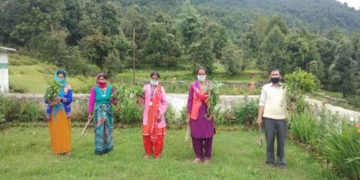 लैणी विद्यालय में रोपे गए तुलसी, बज्रदंती के पौधे