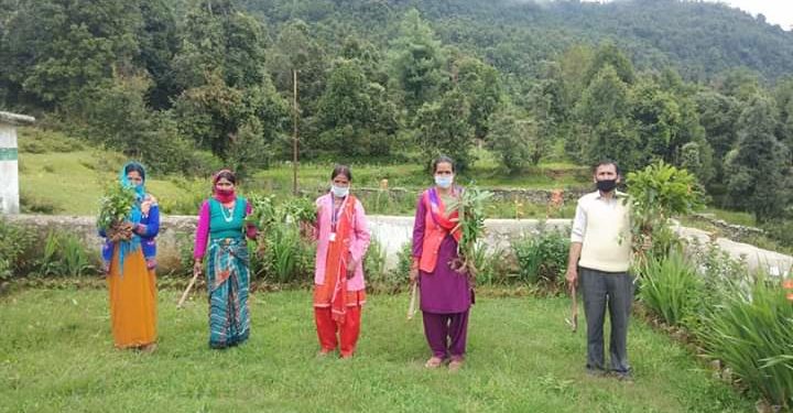 लैणी विद्यालय में रोपे गए तुलसी, बज्रदंती के पौधे