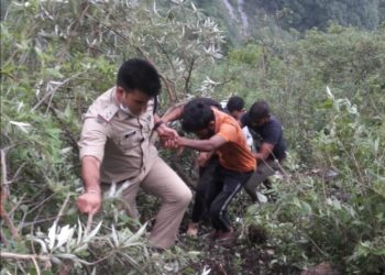 आज भी गिरी कार, 5 घायल