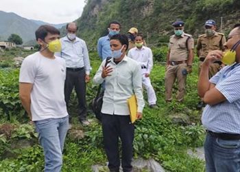 अखरोट और कीवी की पौध तैयार करने के निर्देश