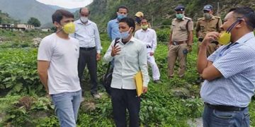 अखरोट और कीवी की पौध तैयार करने के निर्देश