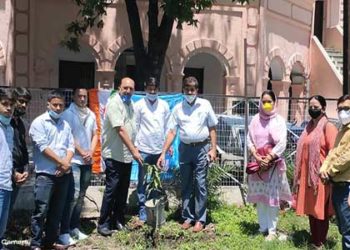 प्राचार्य डॉ. अजय सक्सेना ने किया वृक्षारोपण