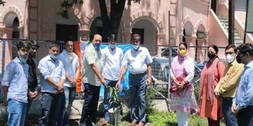 प्राचार्य डॉ. अजय सक्सेना ने किया वृक्षारोपण