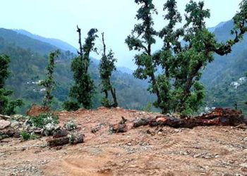 पेड़ों के कटान पर चांजी के ग्रामीणों में आक्रोश