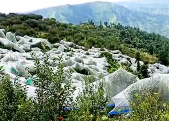 एंटी हेलनेट से बचेंगी सेब और औद्यानिकी फसलें