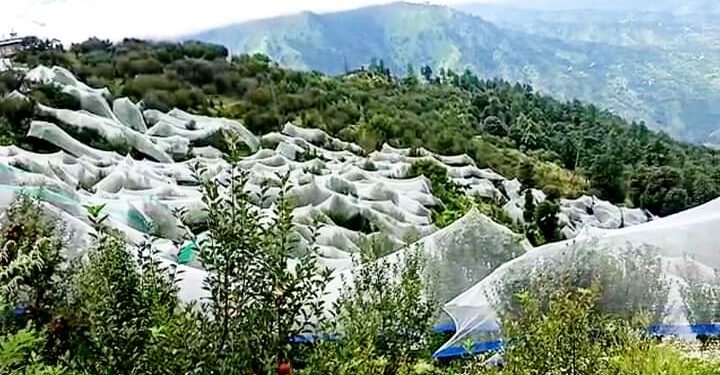 एंटी हेलनेट से बचेंगी सेब और औद्यानिकी फसलें