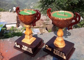 दिनेश लाल ने चीड़ और तूण से बनाई वर्ल्ड रिकार्ड ट्राफी