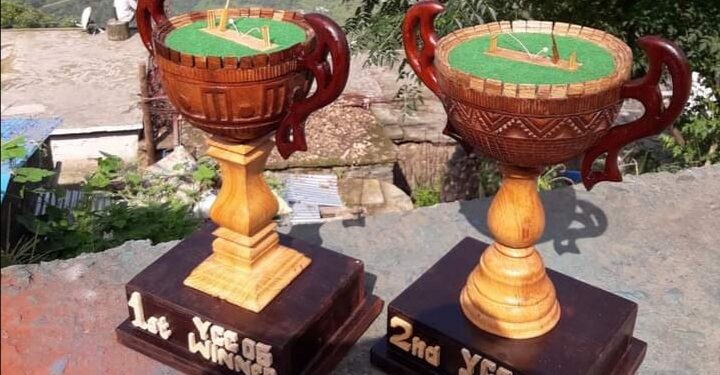 दिनेश लाल ने चीड़ और तूण से बनाई वर्ल्ड रिकार्ड ट्राफी