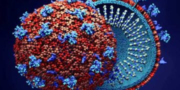 उत्तराखंड में बिकराल कोरोना से बढ़ी टेंशन