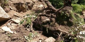 गंगी मार्ग नहीं खोला गया तो होगा आंदोलन: सीता रावत