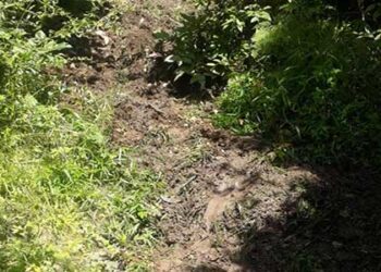 विकास में बाधा बने शरारती तत्व, उखाड़ ले गए पानी के पाइप