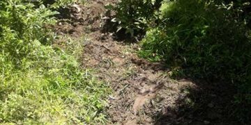 विकास में बाधा बने शरारती तत्व, उखाड़ ले गए पानी के पाइप