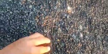 दुबड़ी सड़क पेंटिग के भुगतान पर रोक