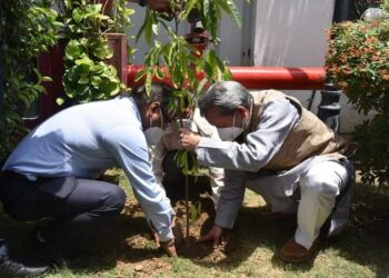मुख्यमंत्री तीरथ सिंह रावत जी ने उत्तराखंड सदन दिल्ली में रोपा रुद्राक्ष का पौधा