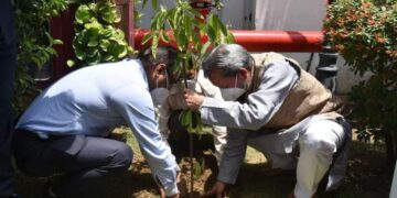 मुख्यमंत्री तीरथ सिंह रावत जी ने उत्तराखंड सदन दिल्ली में रोपा रुद्राक्ष का पौधा