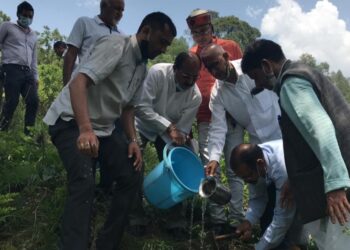 विश्व पर्यावरण दिवस पर समाजसेवी दर्शनलाल आर्य ने पट्टी नैलचामी में किया वृक्षारोपण