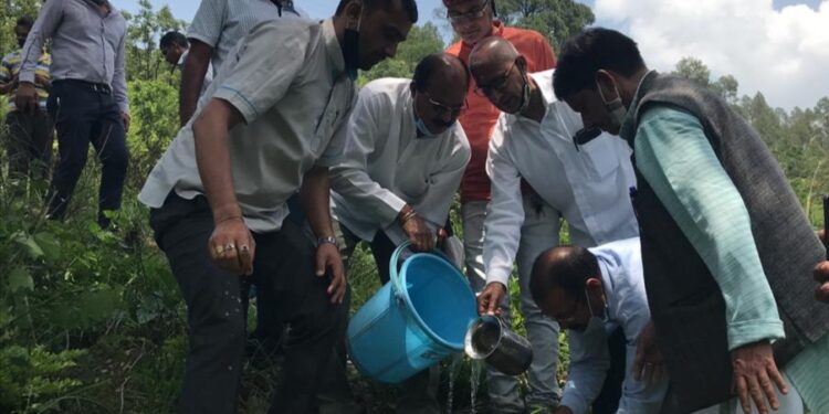 विश्व पर्यावरण दिवस पर समाजसेवी दर्शनलाल आर्य ने पट्टी नैलचामी में किया वृक्षारोपण