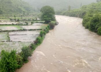 नदियों के बढ़ते जल स्तर पर जिला प्रशासन सतर्क : DM